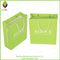 Cute Popular Paper Gift Shopping Bag