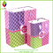 Colored Striped Packing Paper Carry Fashion Bag