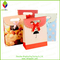 New Fashion Paper Packaging Gift Shopping Bag